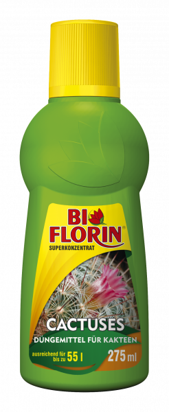 Bi Florin CACTUSES (Kakteen)